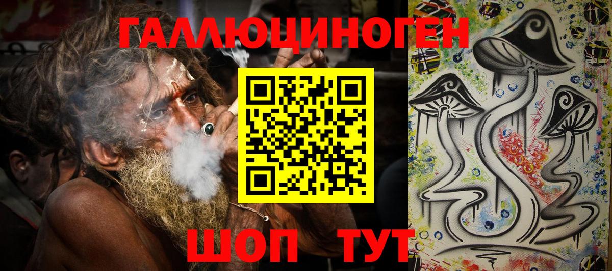 Унеча  Галлюциногенные грибы прущие грибы  Вход с VPN  Псилоцибиновые грибы MAGIC MUSHROOMS 